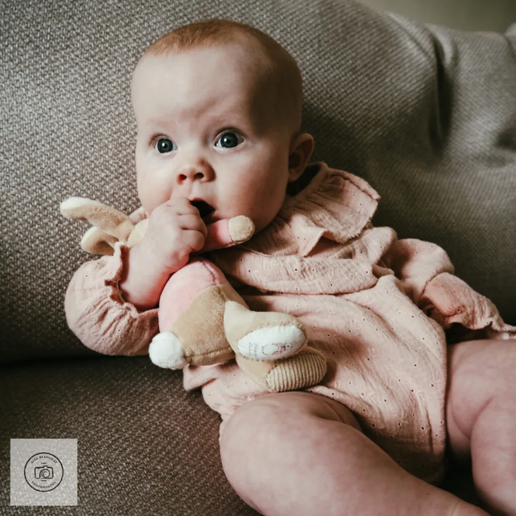 newborn and infant photographer